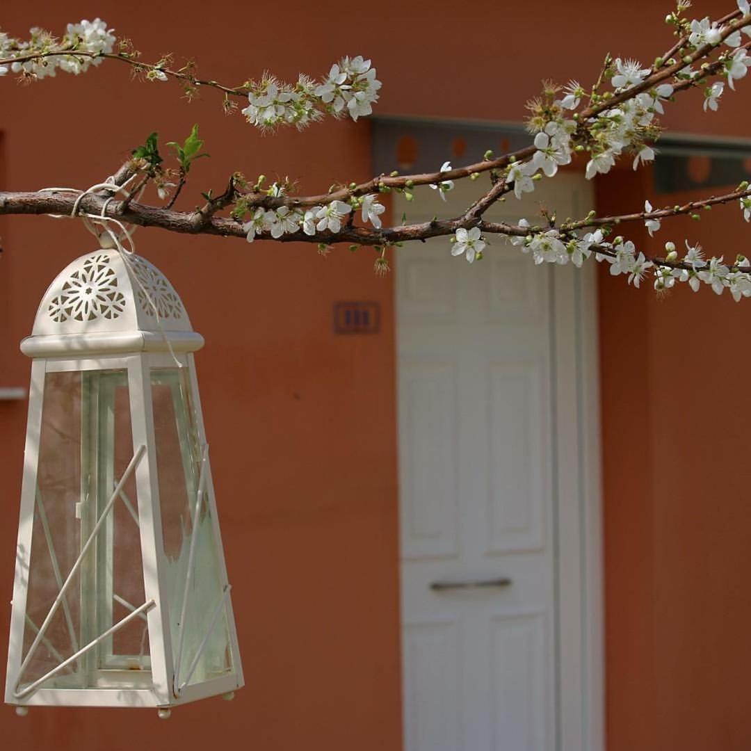 Thalassa Hotel & Spa Paleros エクステリア 写真