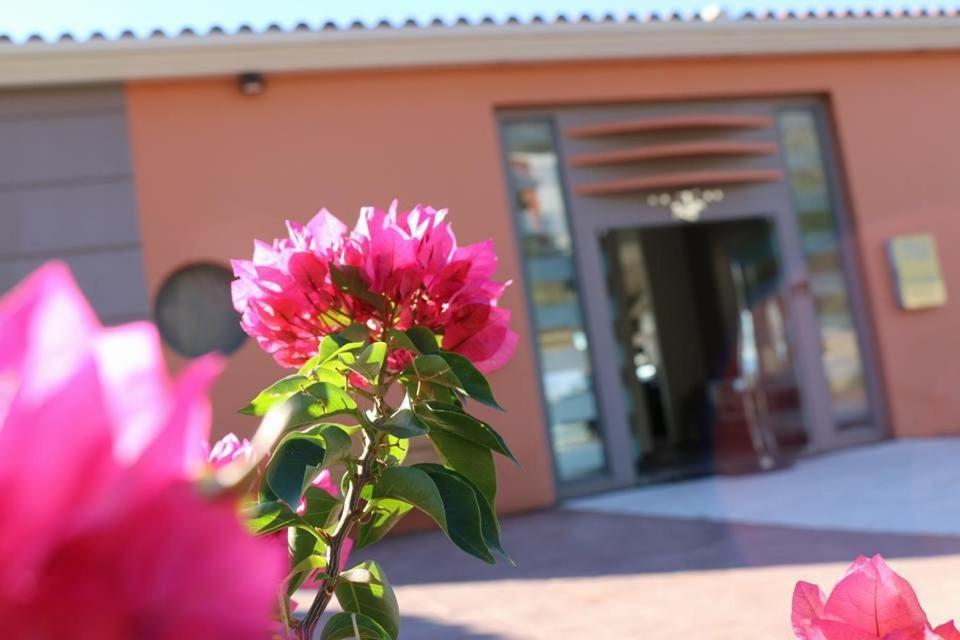 Thalassa Hotel & Spa Paleros エクステリア 写真